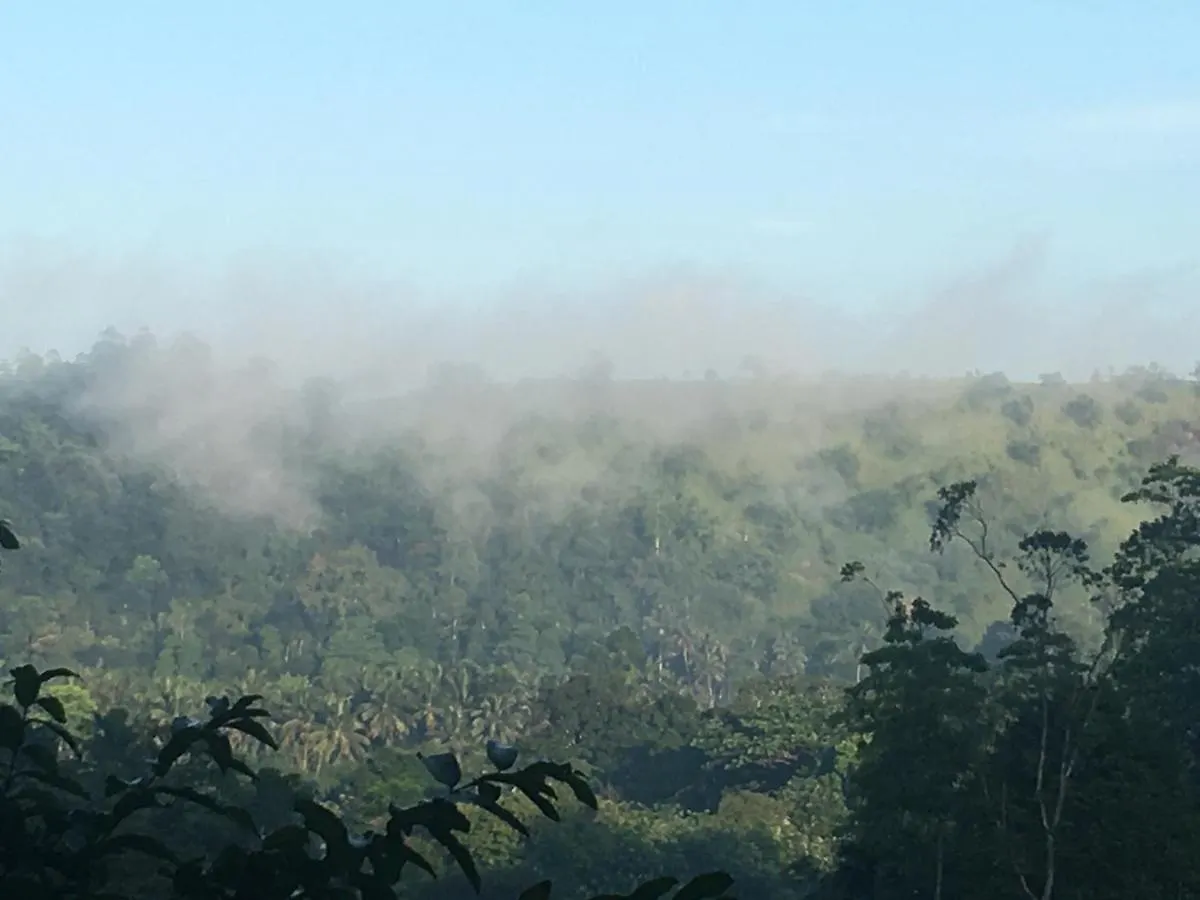 Little Wood Villa And Retreats Doluwa Kandy