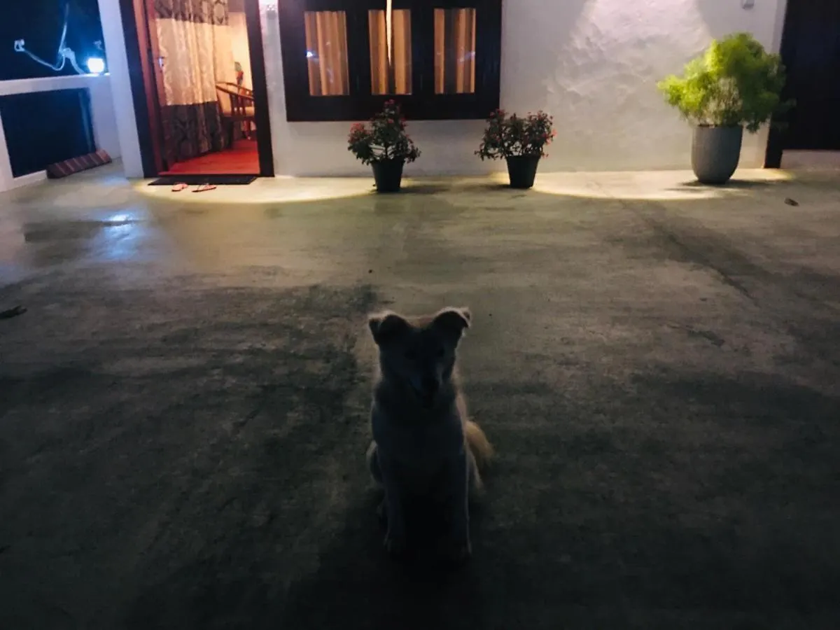 Little Wood Villa And Retreats Doluwa Kandy