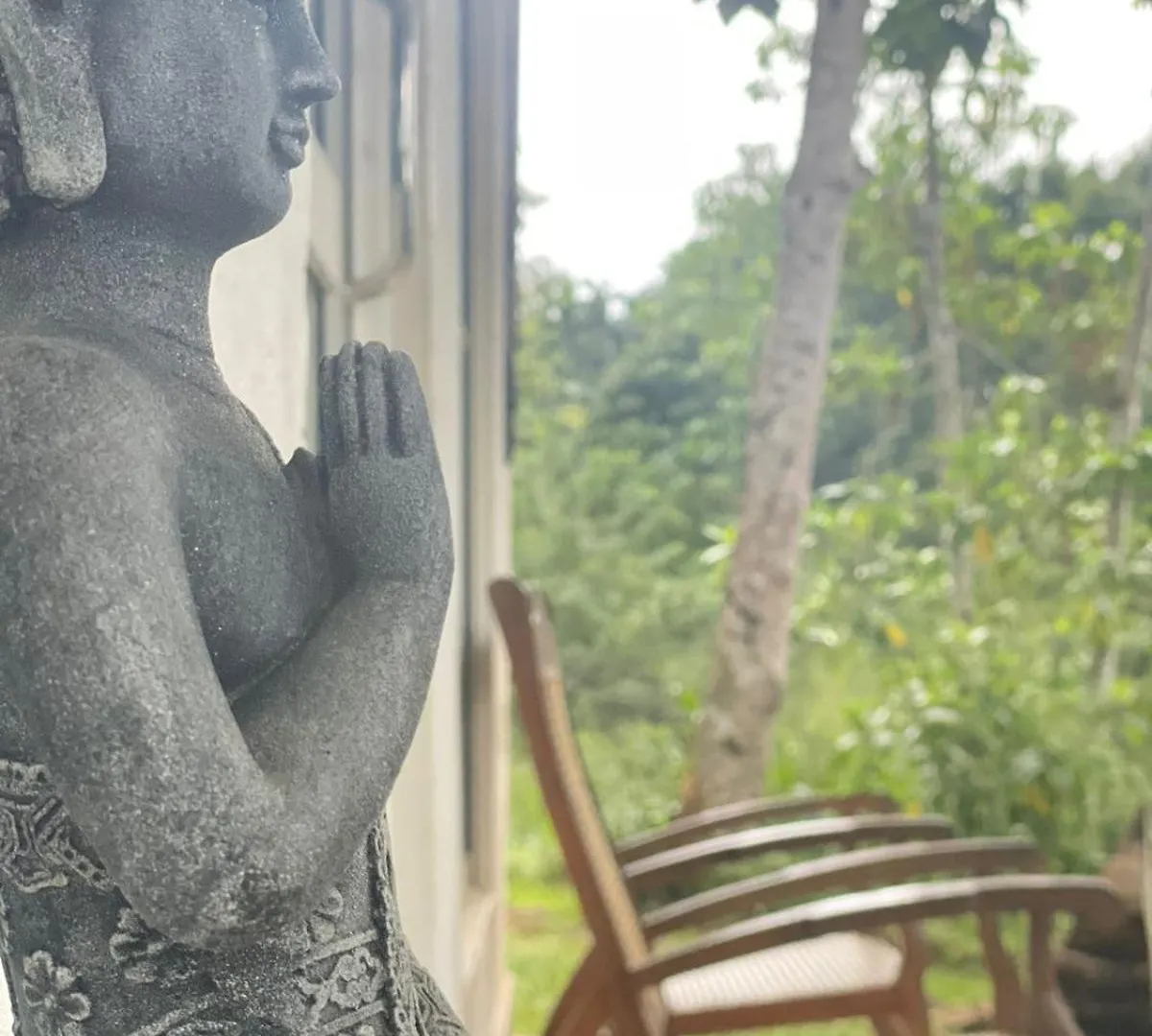 Little Wood Villa And Retreats Doluwa Kandy