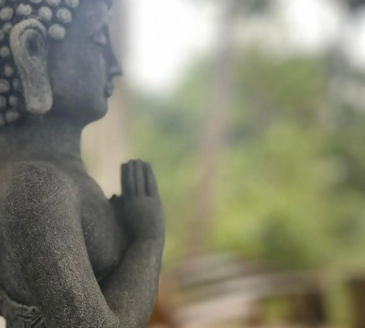 Little Wood Villa And Retreats Doluwa Kandy Sri Lanka