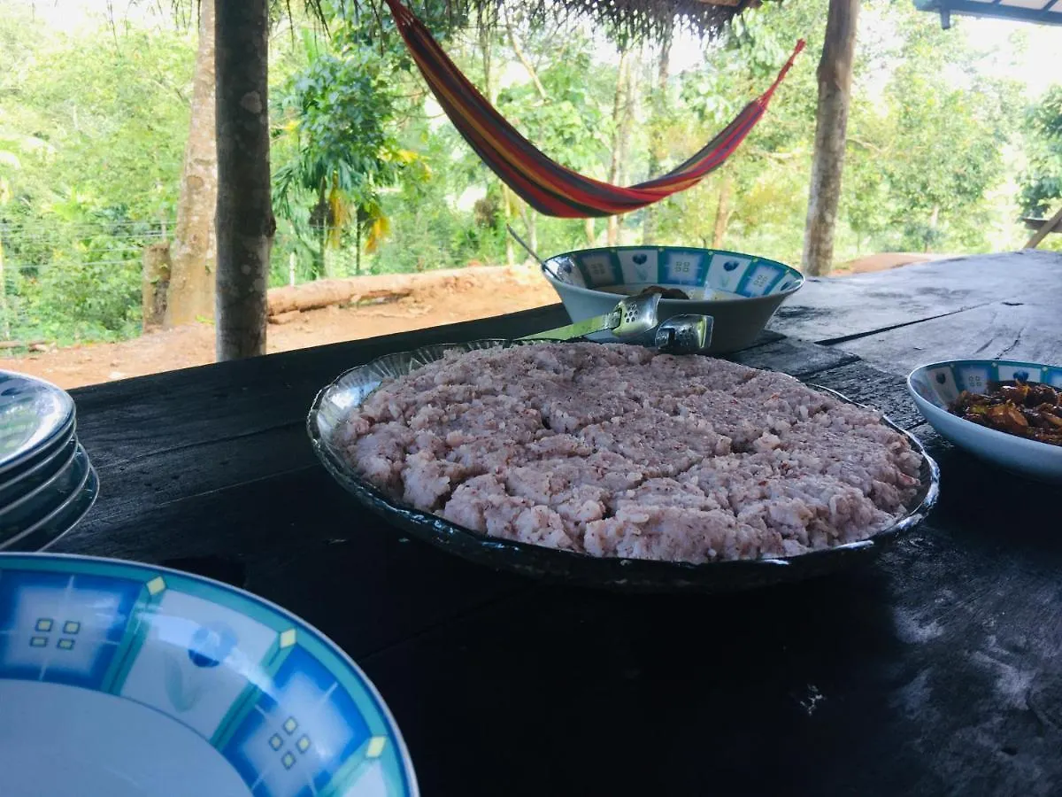 Little Wood Villa And Retreats Doluwa Kandy
