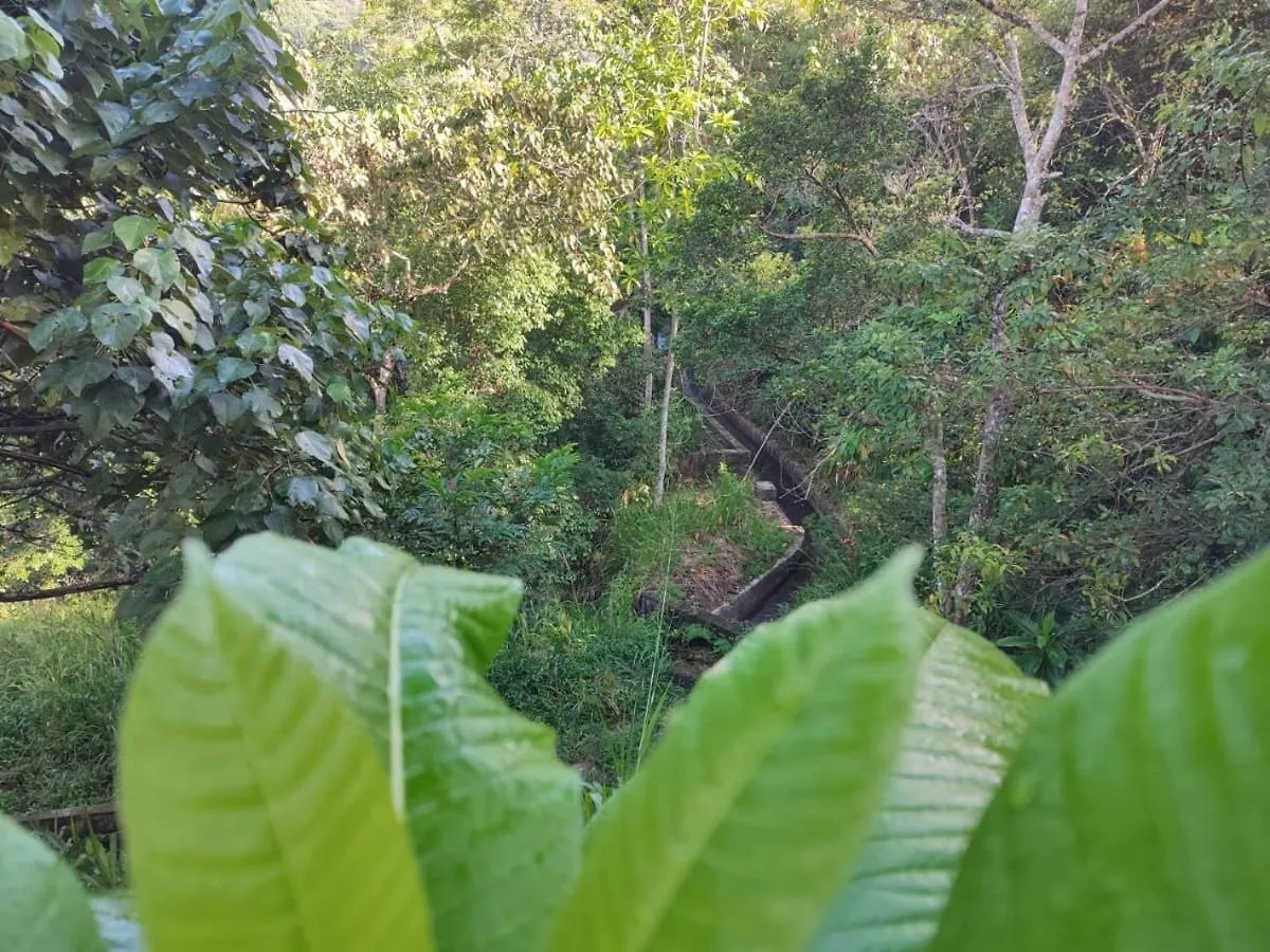 Little Wood Villa And Retreats Doluwa Kandy